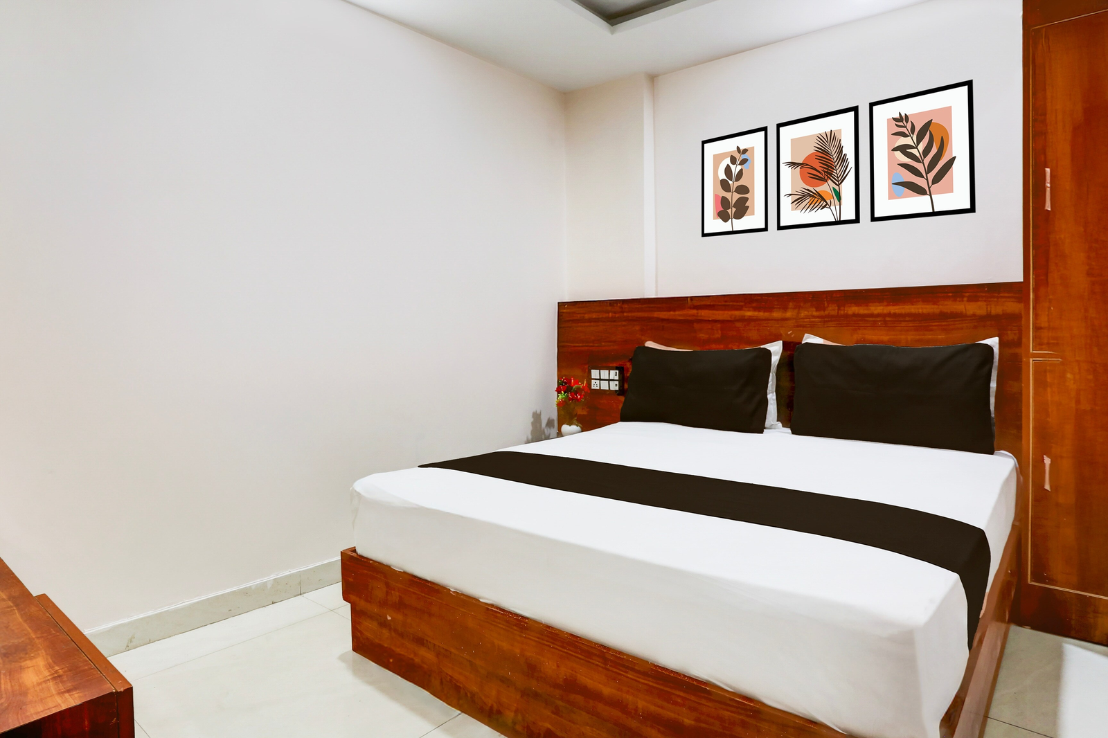 collection o shanti kunj haridwar