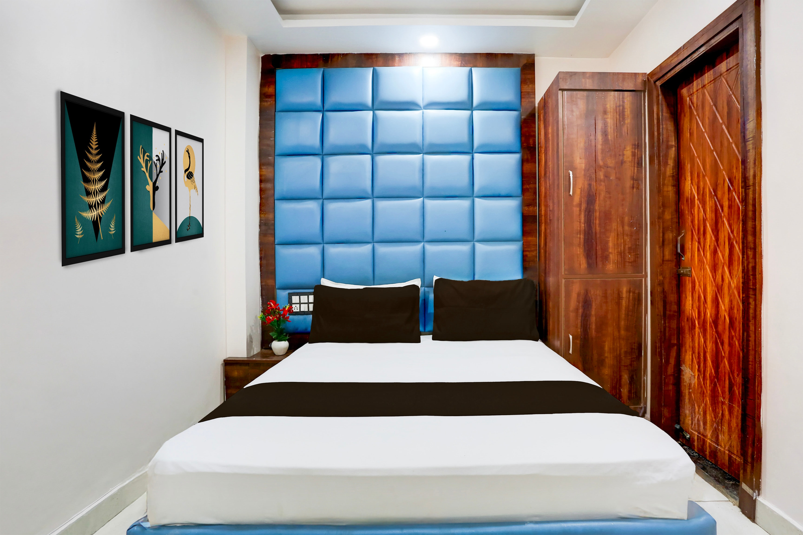 collection o shanti kunj haridwar