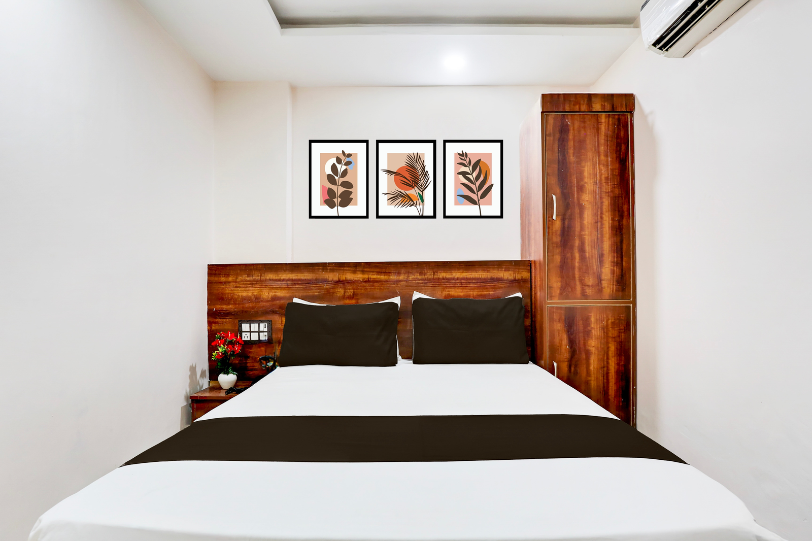 collection o shanti kunj haridwar