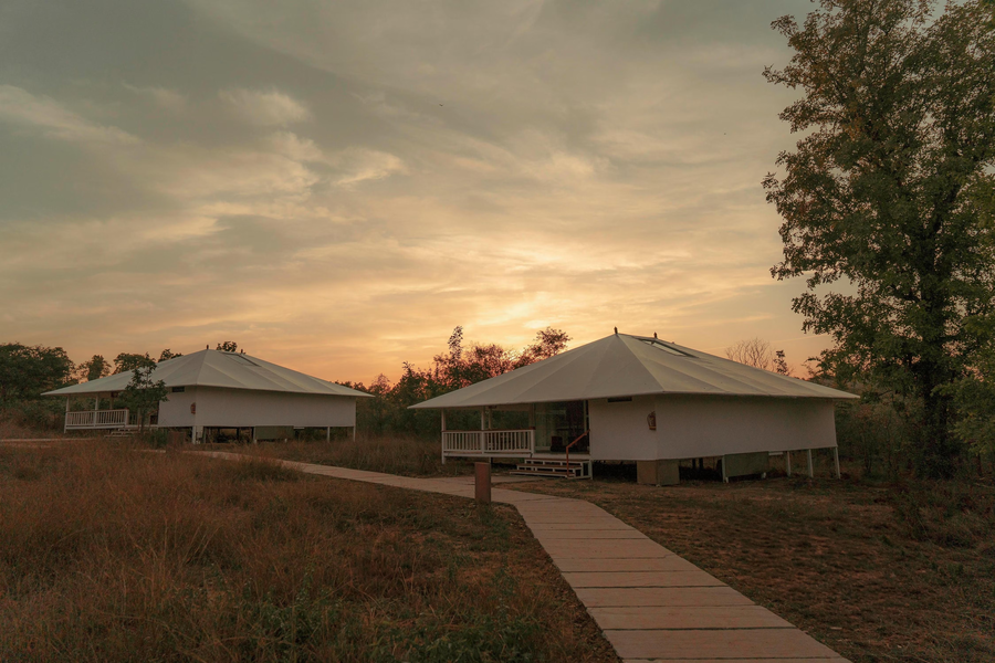 bandhavgarh