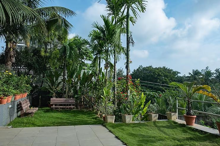 orchid avenue