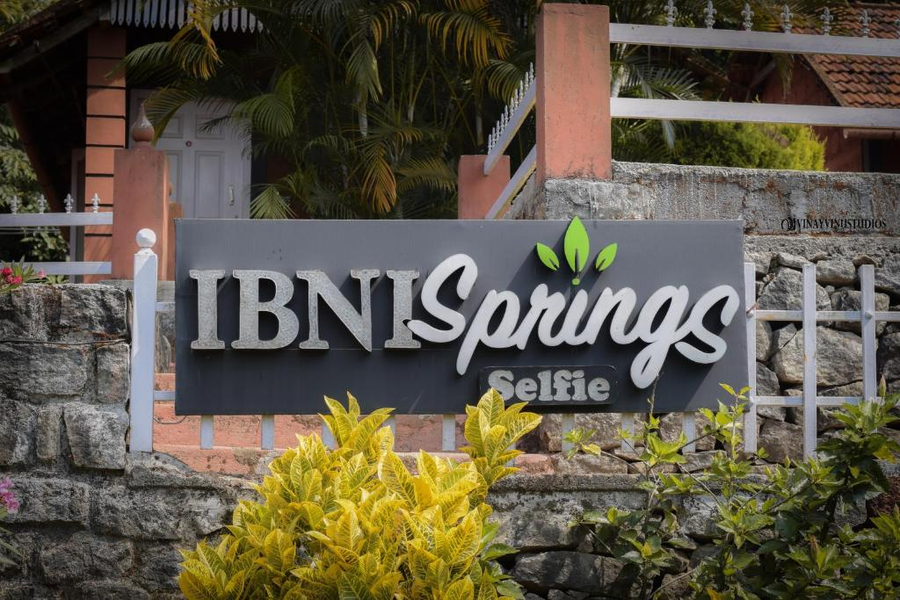 ibni springs