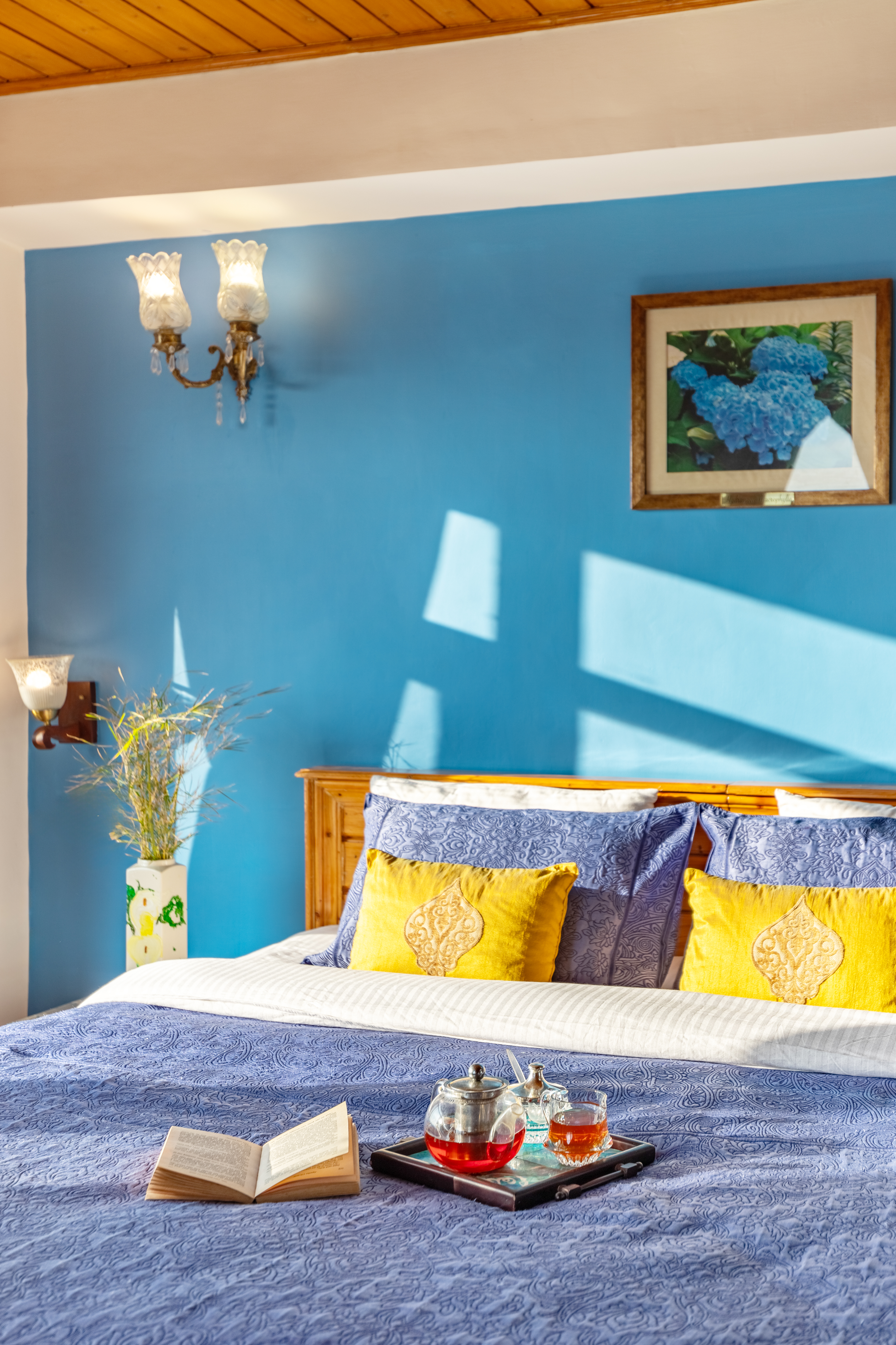 alaya stays meridian oak shimla