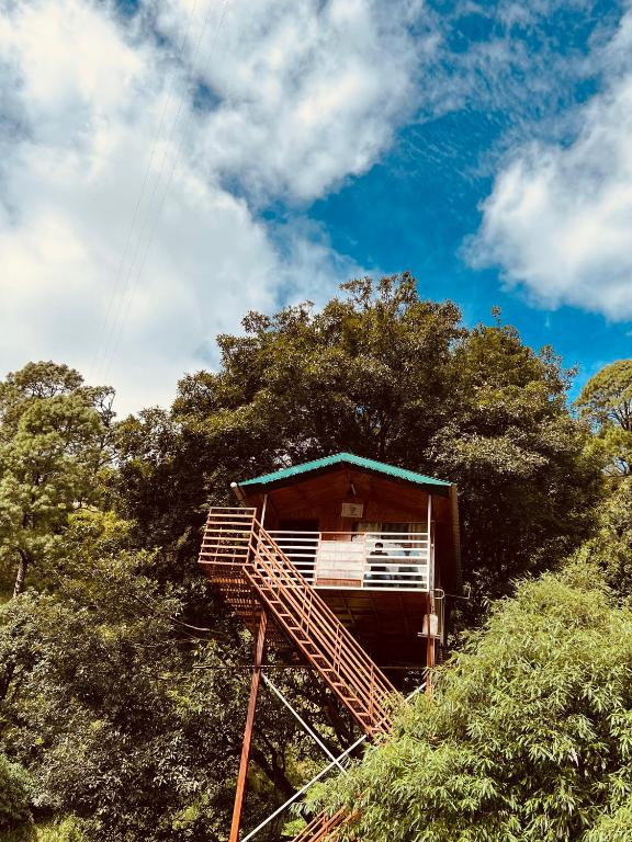 the cocoon camps and nature resorts