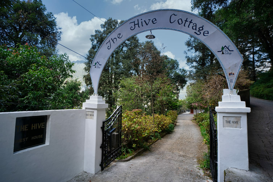 the hive cottage
