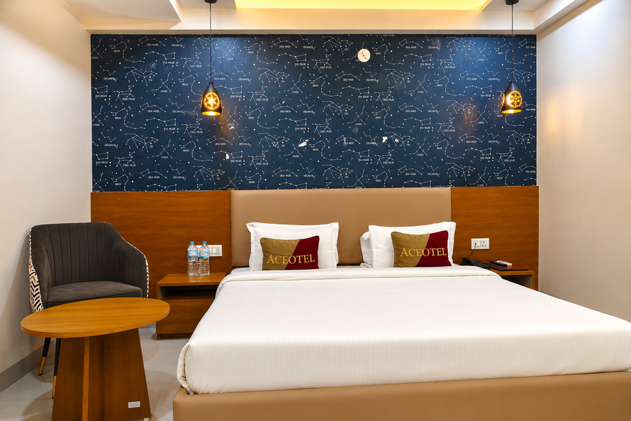aceotel inn vijay nagar