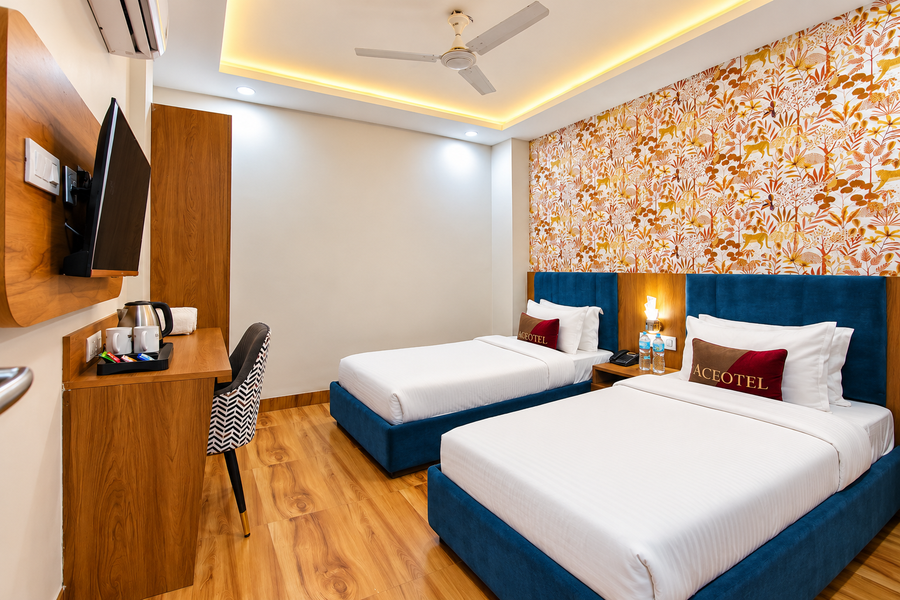 aceotel inn vijay nagar
