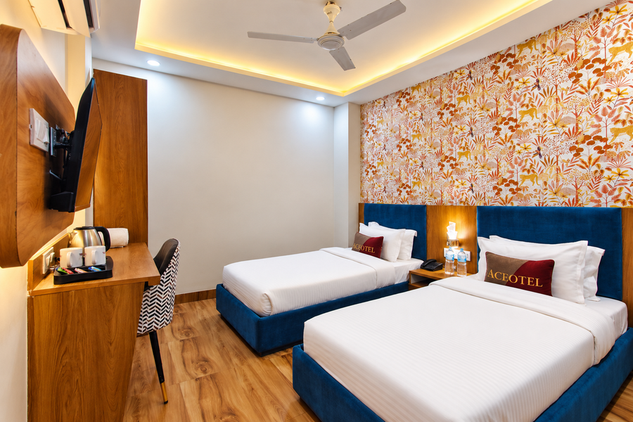 aceotel inn vijay nagar