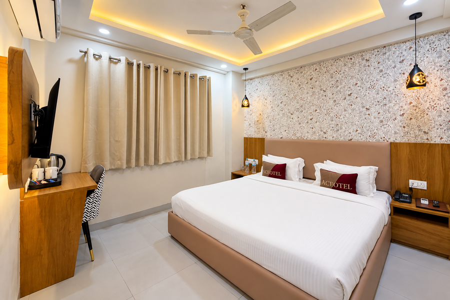 aceotel inn vijay nagar