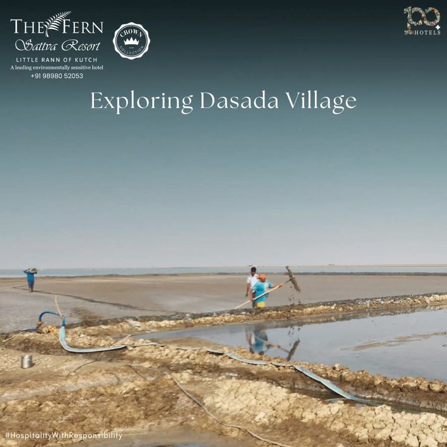 the fern sattva resort little rann of kutch