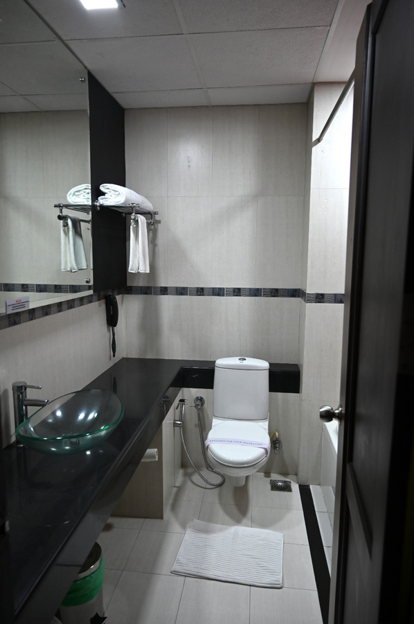 the mercy luxury business hotel