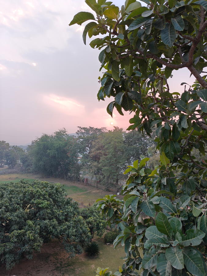 pavilion farmstay udaipur
