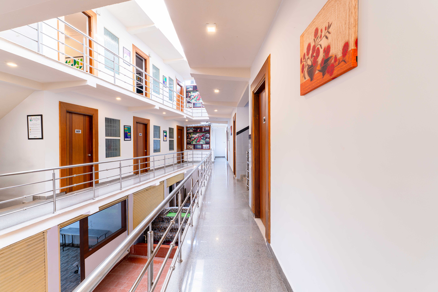 treebo regalia comforts