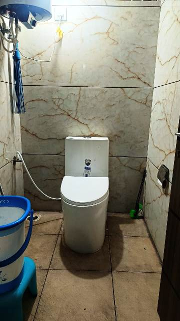 coconut tree guest house