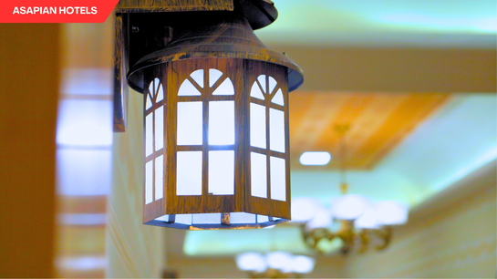 shreeji palace by asapin hotels