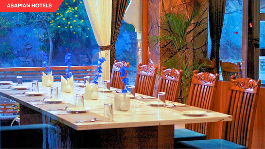 shreeji palace by asapin hotels