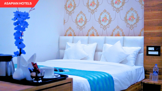 shreeji palace by asapin hotels