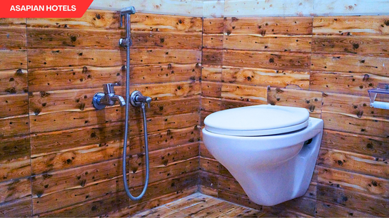 shreeji palace by asapin hotels