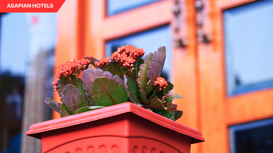 shreeji palace by asapin hotels