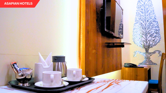 shreeji palace by asapin hotels