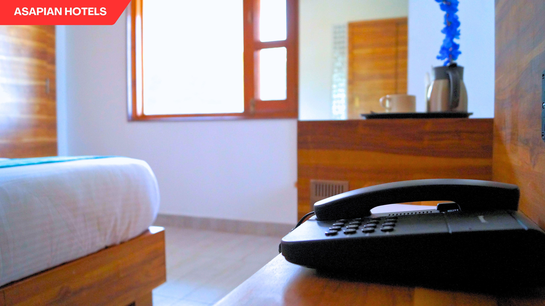 shreeji palace by asapin hotels