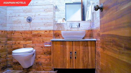 shreeji palace by asapin hotels