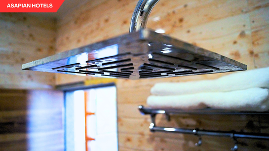 shreeji palace by asapin hotels