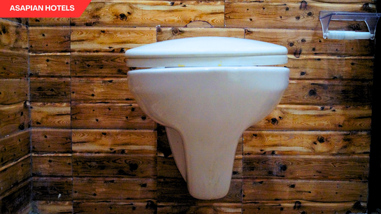 shreeji palace by asapin hotels