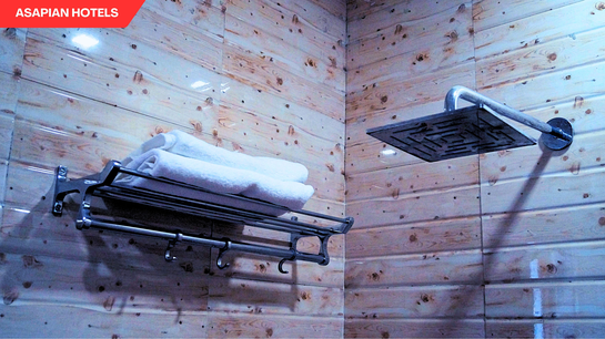 shreeji palace by asapin hotels