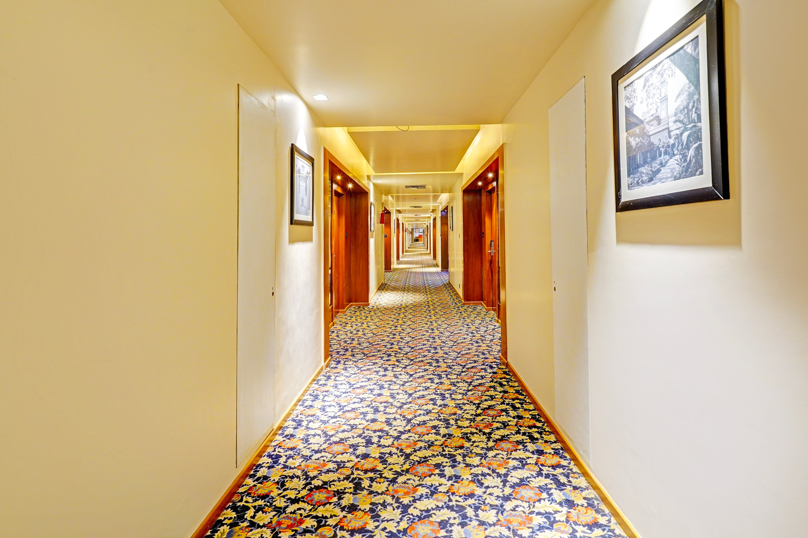 collection o marathahalli formerly krishna boutique