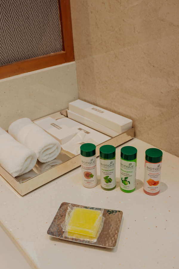 the tivoli new delhi