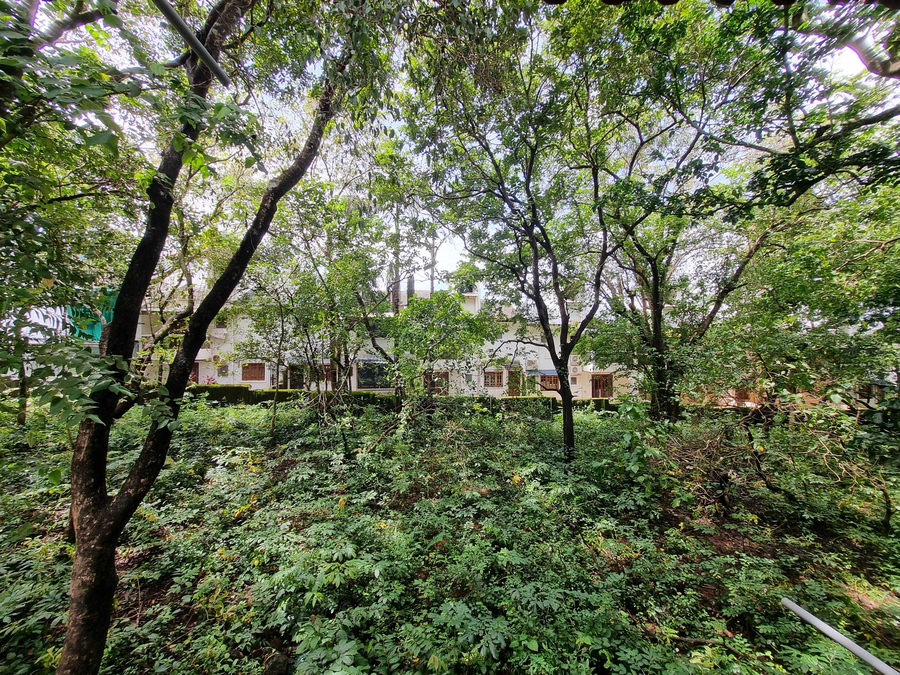 Sereno By Dancenter - 1Bhk Apartment In Siolim,Siolim ,3 star