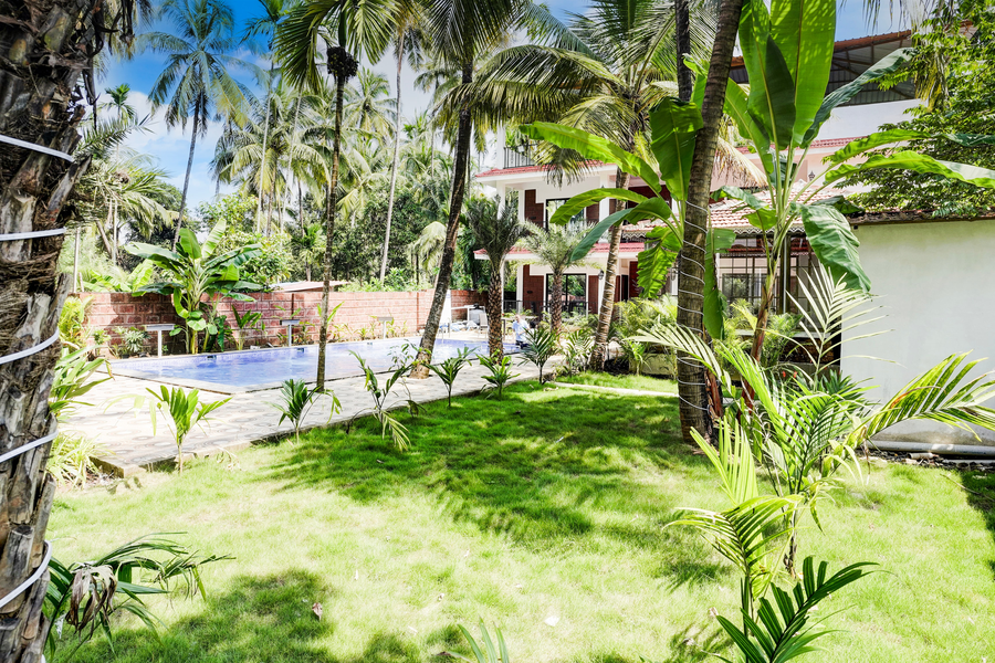 alibaug