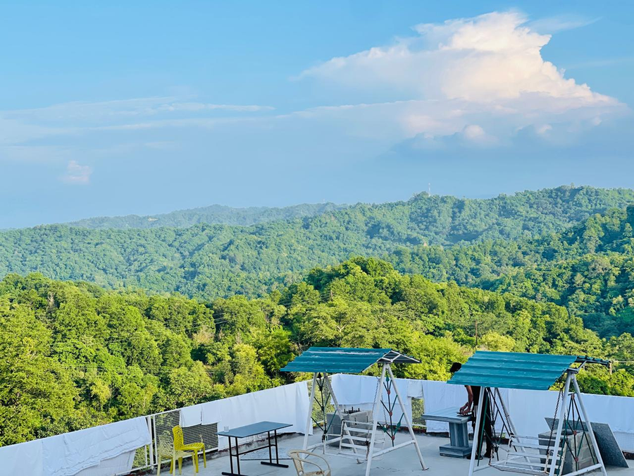 paradise woodland resort