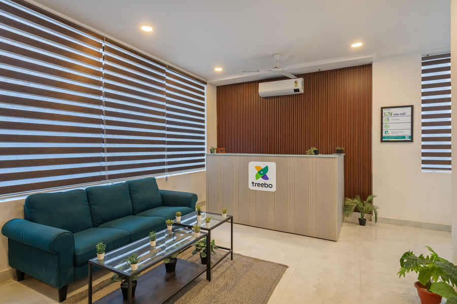 treebo de alphabet gachibowli