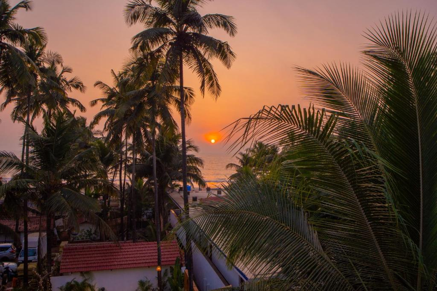 elivaas house of neptune 1 bhk boutique villa