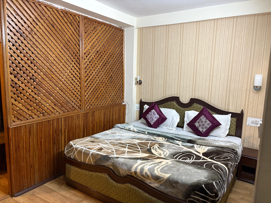 hotel ankit palace