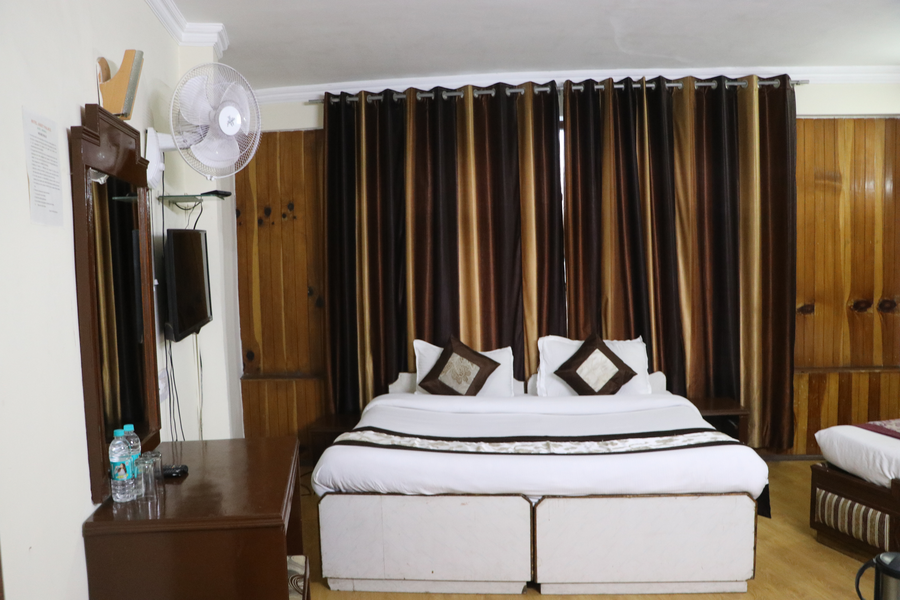hotel ankit palace