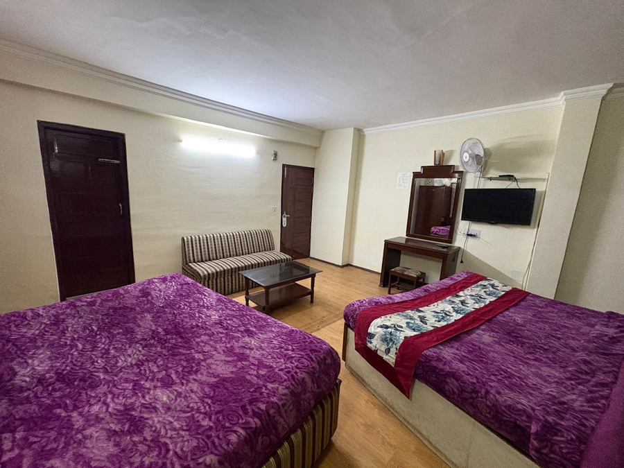 hotel ankit palace