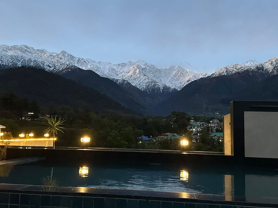 the bliss palampur