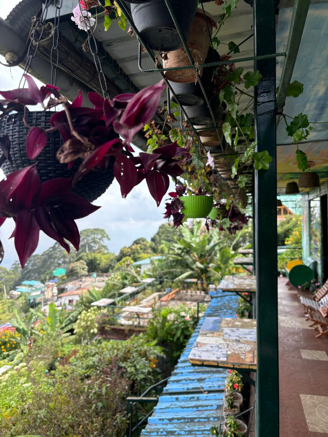 the kodai heaven