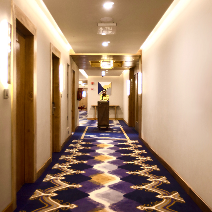 hotel rewa ladakh
