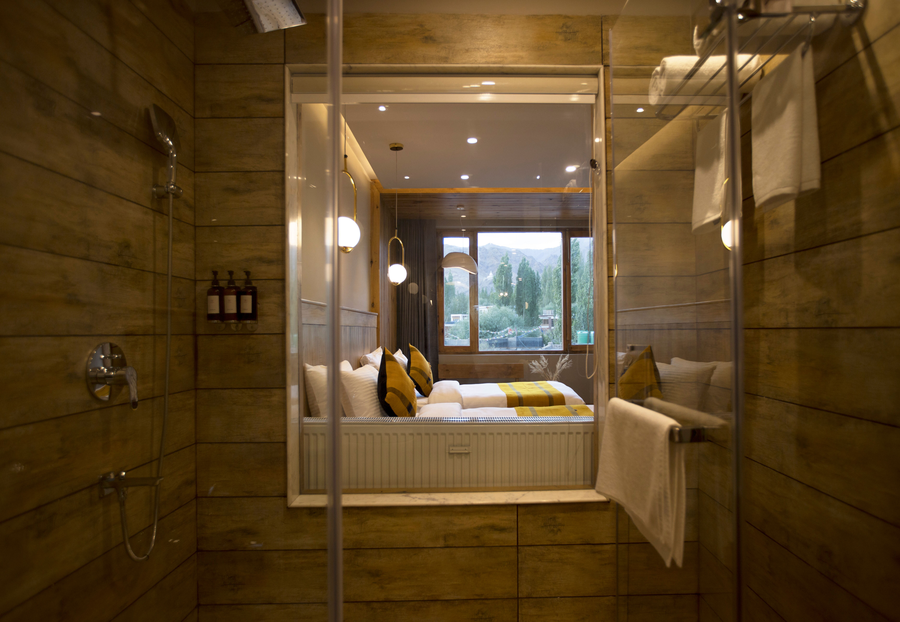 hotel rewa ladakh