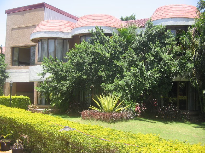 treasure island resorts