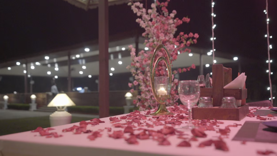 treasure island resorts