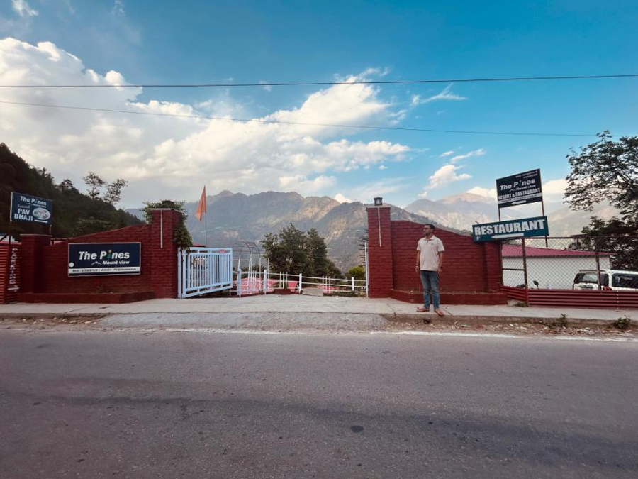 the pines mountain view