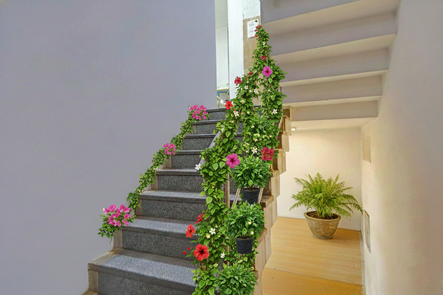 hotel raaso inn rohini