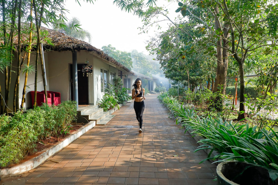 whistling woodzs resort