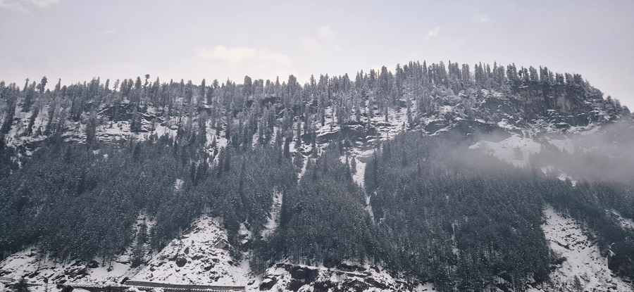 Treebo Premium Silverstone Resort With Mountain Valley View,,3 star