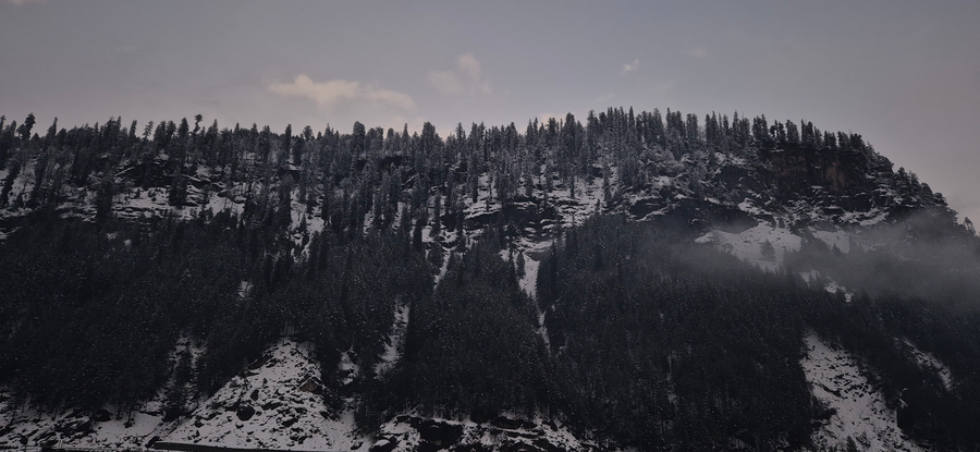 treebo premium silverstone resort with mountain valley view